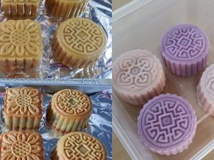 Bake and Snowskin Mooncakes